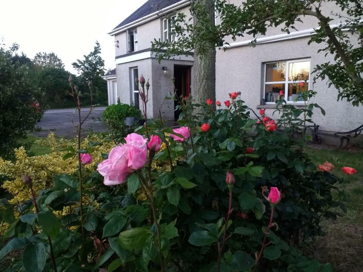 Lisieux House On Lough Neagh Bed & Breakfast Aghalee Eksteriør bilde
